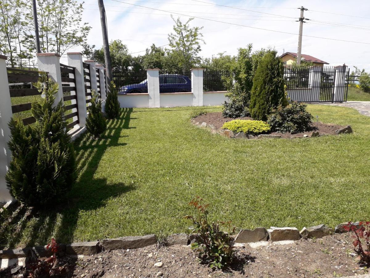 Vila Aloman Sebeş Εξωτερικό φωτογραφία