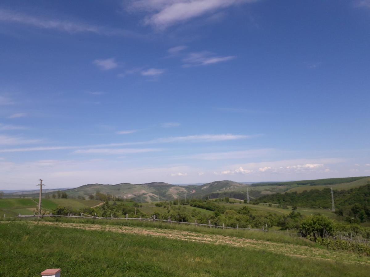 Vila Aloman Sebeş Εξωτερικό φωτογραφία