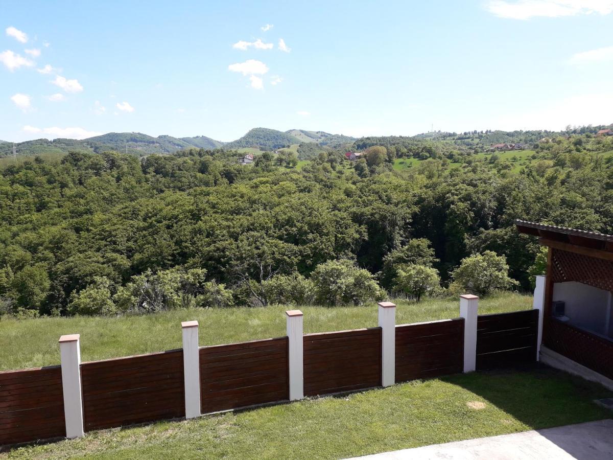 Vila Aloman Sebeş Εξωτερικό φωτογραφία