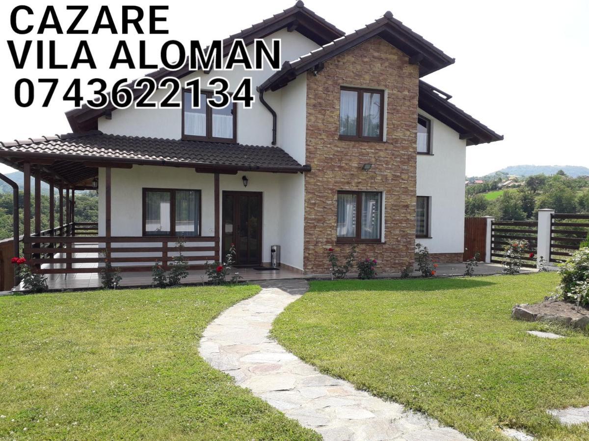 Vila Aloman Sebeş Εξωτερικό φωτογραφία
