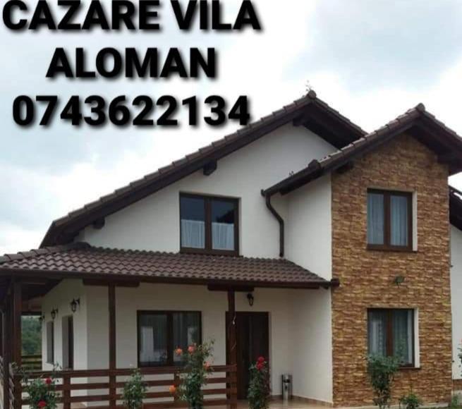Vila Aloman Sebeş Δωμάτιο φωτογραφία